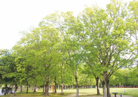 東公園